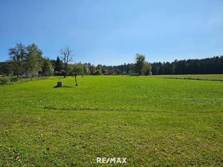 Rund 16,5 ha Landwirtschaftlicher Grund