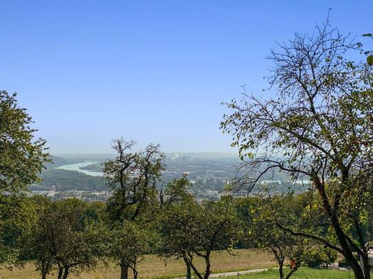 Traumhaftes Grundstück mit Altbestand & einer sensationellen Aussicht auf Linz und darüber hinaus!