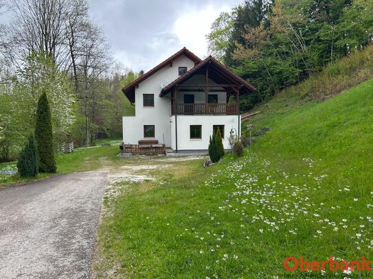 Haus mit 17600m² landw. Grundstück