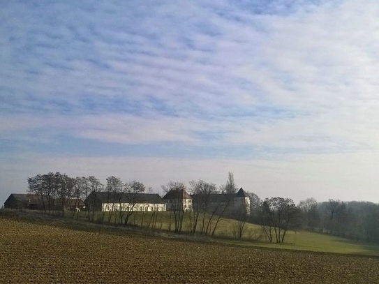 Gutshof Schloss Welsdorf (Provisionsfrei)