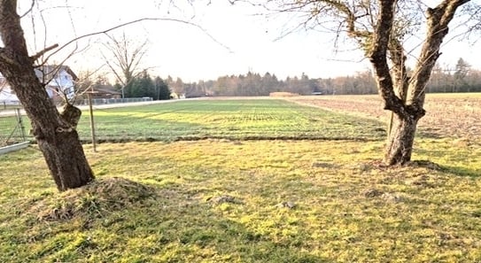 Sonnig, ruhig, eben, Grundstück zu verkaufen. (Provisionsfrei)