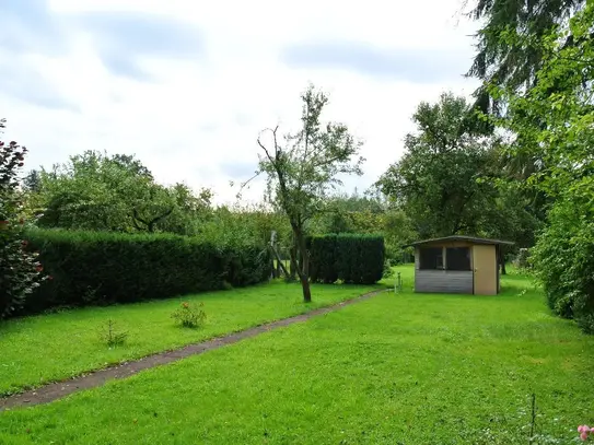 Freistehendes Einfamilienhaus mit großem Garten mit Obstbäumen zu vermieten.