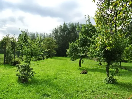 Freistehendes Einfamilienhaus mit großem Garten mit Obstbäumen zu vermieten.