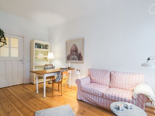 Charming apartment, Berlin - Amsterdam Apartments for Rent