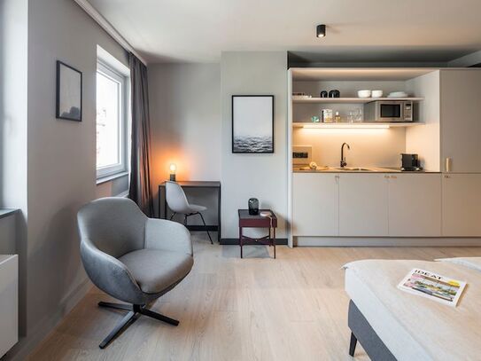 Modern studio near the Central Station, Frankfurt - Amsterdam Apartments for Rent