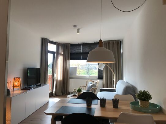 Spacious apartment (Schluchsee)