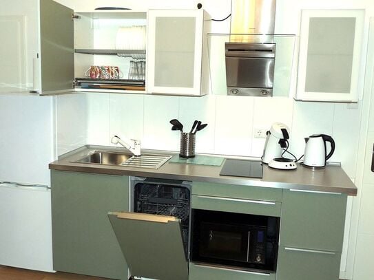 Spacious apartment near the center overlooking the garden, Dusseldorf - Amsterdam Apartments for Rent