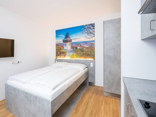 Gemütliches Studio-Balkon WKO Steiermark Graz