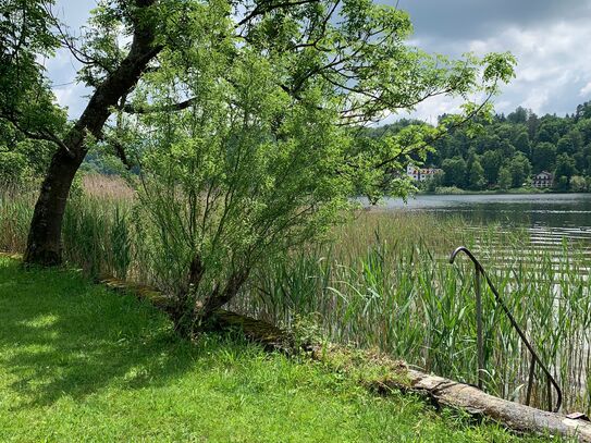 Beautiful and quiet loft in Seehausen am Staffelsee