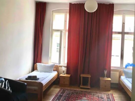 Sunny and quite apartment near the centre, Berlin - Amsterdam Apartments for Rent