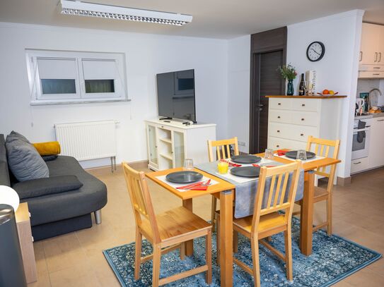 Modern appartement located in Dresden Loschwitz