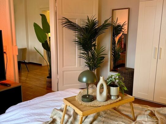 Cosy Apartment direct in city very good connection