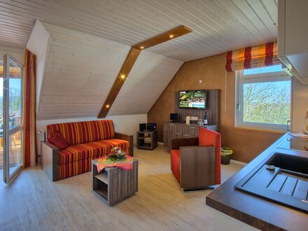 Helle Wohnung central in Bad Bellingen, unweit Bahnhof und Autobahn | Bright flat in excellent location centered in Bad…