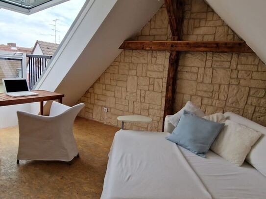 Atmospheric exclusive attic maisonette with skyline view in Nordend Bornheim, Frankfurt - Amsterdam Apartments for Rent