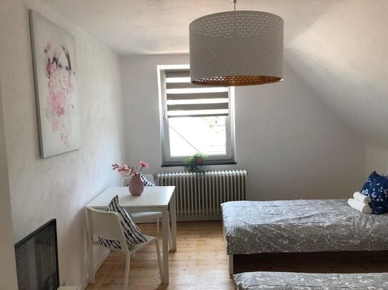 Modern City Apartments - Apartment 3, Kaiserslautern - Amsterdam Apartments for Rent