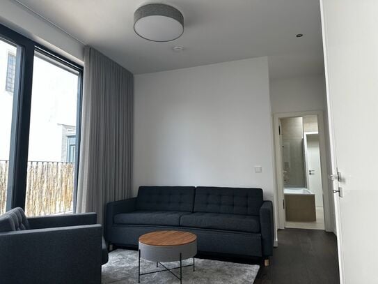 Neat & calm newly built penthouse apartment, Berlin - Amsterdam Apartments for Rent