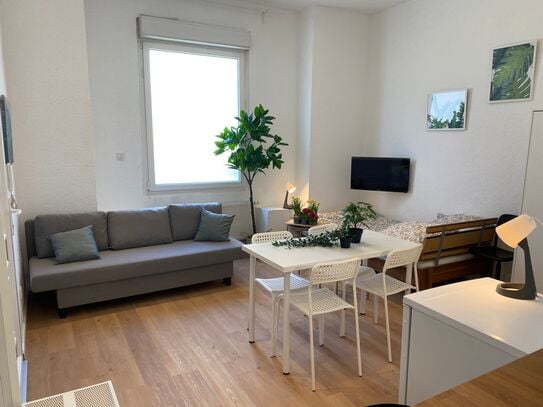 Cozy newly part renovated apartment, 8min bus to center