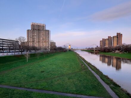 Großartiges, liebevoll eingerichtetes Studio in Mannheim | High above Mannheim directly on the river
