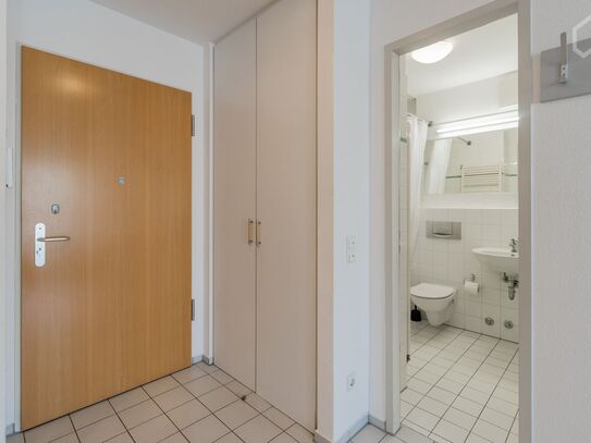 Beautiful studio in Mitte, Berlin, Berlin - Amsterdam Apartments for Rent