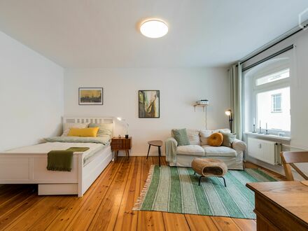 Helles und sehr ruhiges Ein-Zimmer-Appartement mitten in Friedrichshain