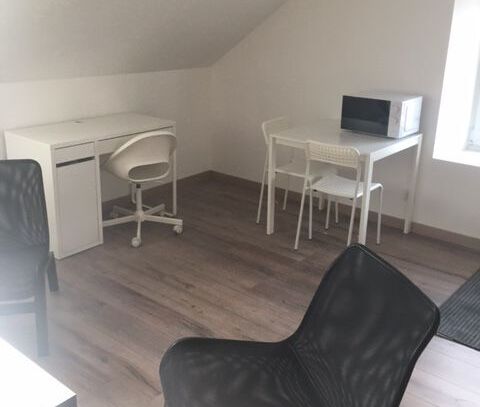 Newly renovated studio in Belfort city center