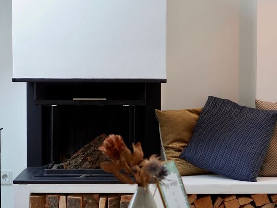charming luxury apartment in Berlin Mitte with fireplace and 2 terraces, Berlin - Amsterdam Apartments for Rent