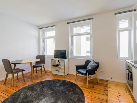 Great, perfect apartment in Prenzlauer Berg - awesome bathroom, Berlin - Amsterdam Apartments for Rent