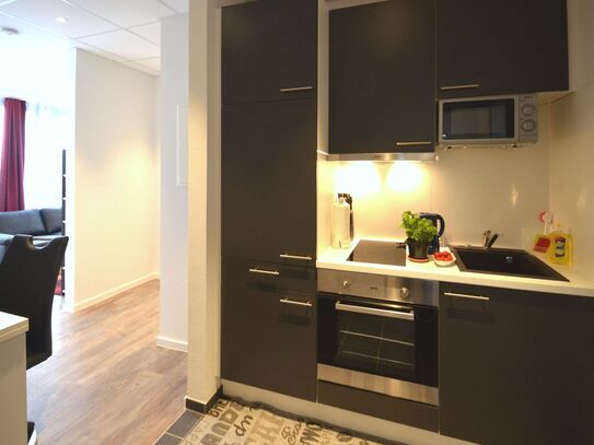 2-room apartment fully equipped in Frankfurt am Main, Frankfurt - Amsterdam Apartments for Rent