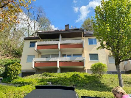 Wundervolles Apartment mit großer Dachterrasse am Saarbrücker Zoo | Lovely home in Saarbrücken