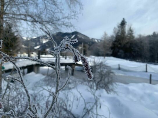 Schickes Seegrundstück-Loft in bezaubernder Umgebung 150m zum See