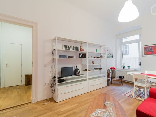 Cozy alt-bau apartment in the prime area of Prenzlauer Berg and Mitte, Berlin - Amsterdam Apartments for Rent