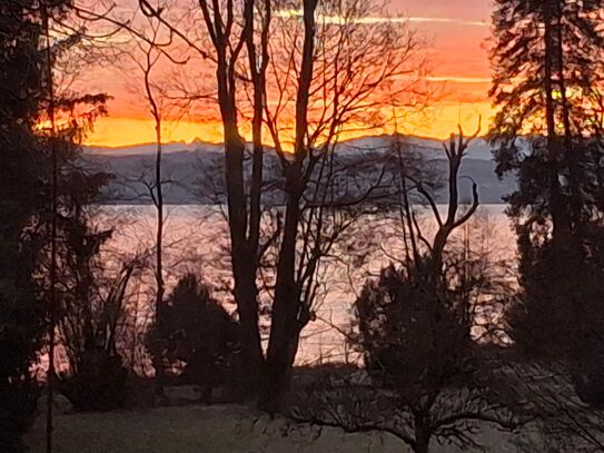 Traumlage 100m vom Starnberger See in Tutzing