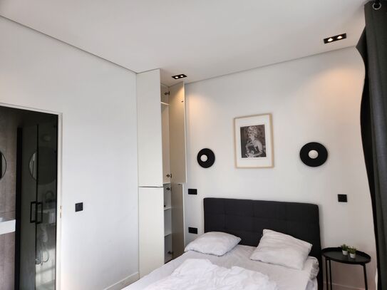 Nice, a 1 bedroom apartment, located 20 minutes from the center of Paris (St Michel)