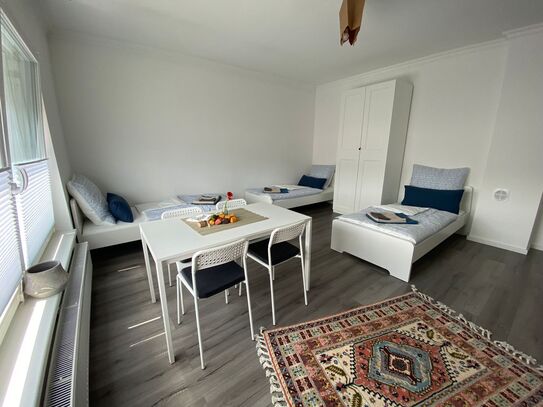 Quiet & modern suite (Hanau)