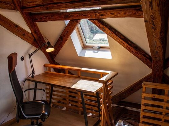 Beautiful and perfect loft in Horb am Neckar