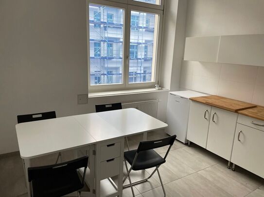 Gorgeous newly renovated 1-bedroom in perfect location in Berlin Moabit