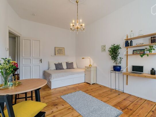 Charming Flat with Balcony and Elevator in the trendy area of Sprengelkiez, Berlin - Amsterdam Apartments for Rent