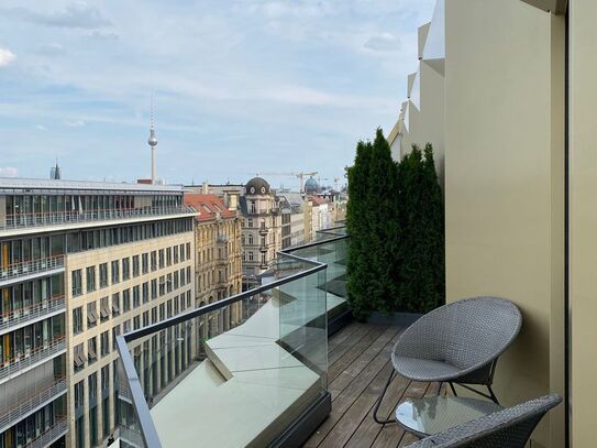 Designer Penthouse in Berlin Mitte with view at TV Tower, Berlin - Amsterdam Apartments for Rent