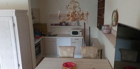 Comfortable & cozy 1 room apartment - Schwarzwald