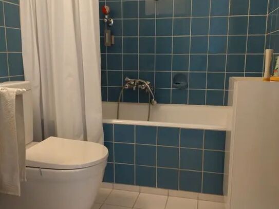 Sunny 1 room flat in Munich-Laim