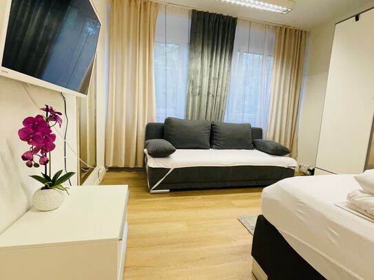 Lovely apartment (Mainz)