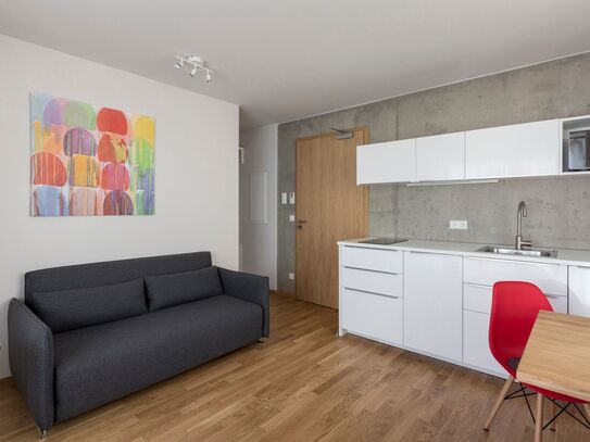 2-room premium apartment in Nürnberg