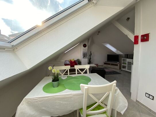 Bright, modern apartment including AC, Nurnberg - Amsterdam Apartments for Rent