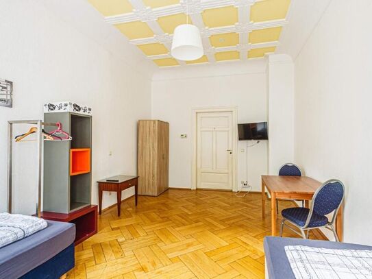 Liebevoll eingerichtetes & gemütliches Studio Apartment im Herzen der Stadt