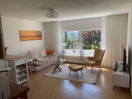 Paradisiac apartment located in Rheinfelden (Baden)