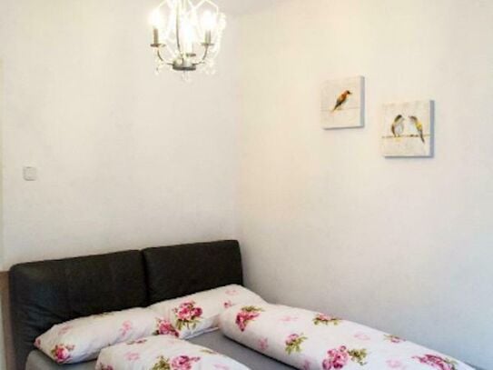 Renovated, lovely furnished flat