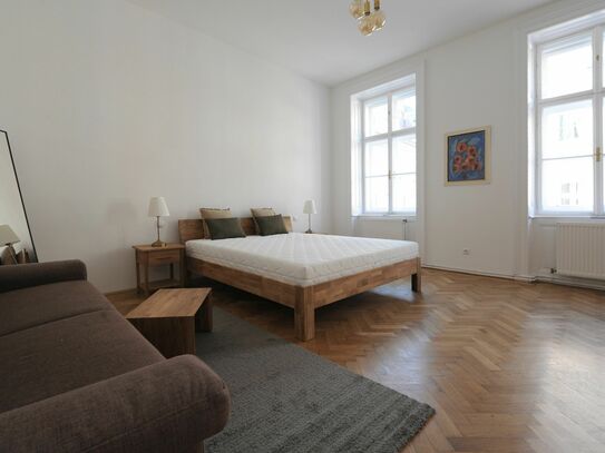 Schönes, großzügiges Apartment nahe Stadtzentrum (Wien)
