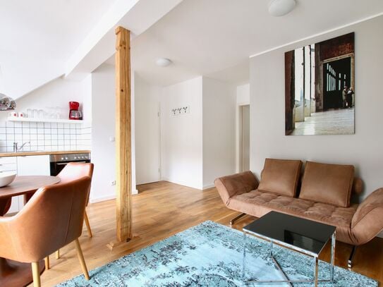 elegantly and modernly furbished apartment at Friesenplatz