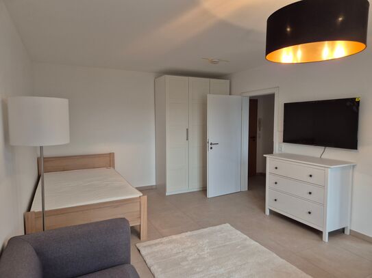 Modern business flat in Ludwigshafen am Rhein