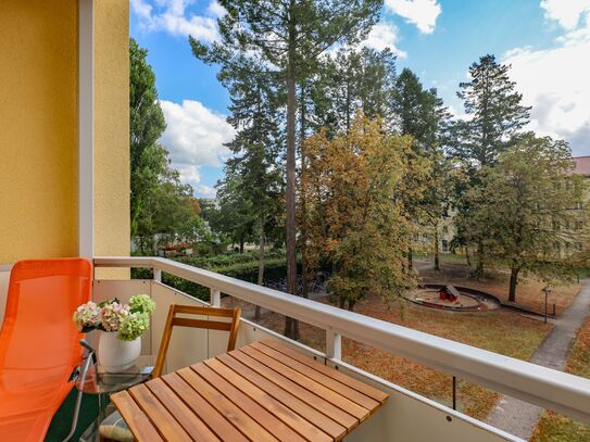 Light-flooded, cozy one-room apartment in Zehlendorf